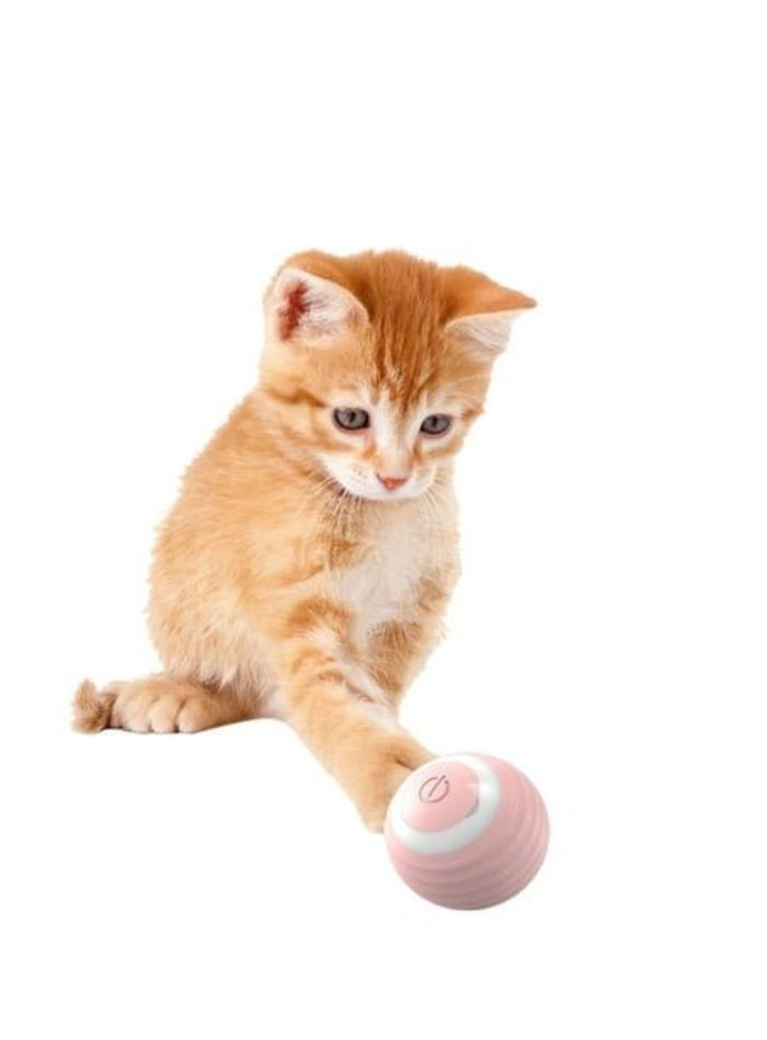 Orange kitten reaching for Gravity Roller ball