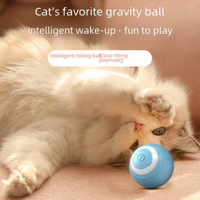 Gravity Roller Cat Toy