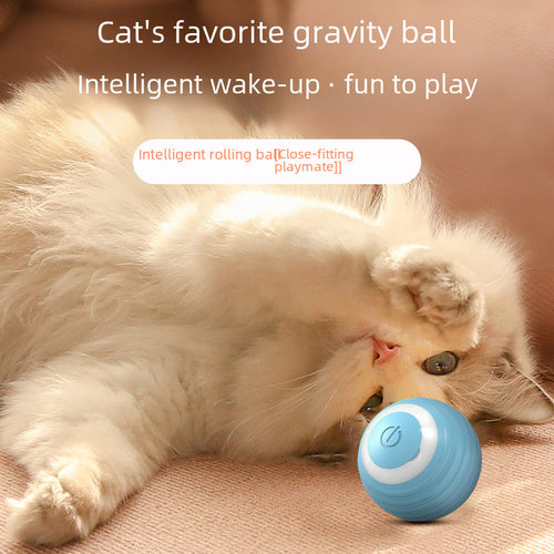 Gravity Roller Cat Toy