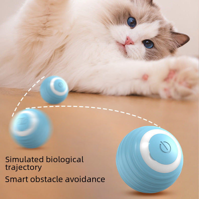 Gravity Roller Cat Toy