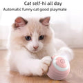 Gravity Roller Cat Toy