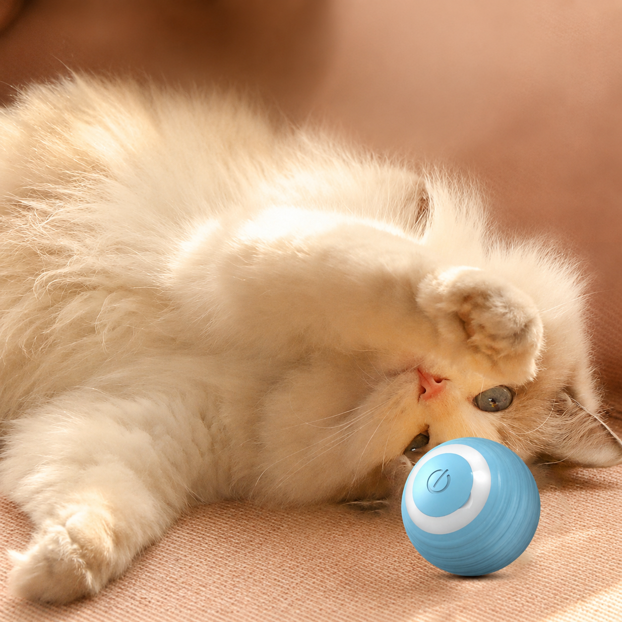 Cat resting with Gravity Roller ball