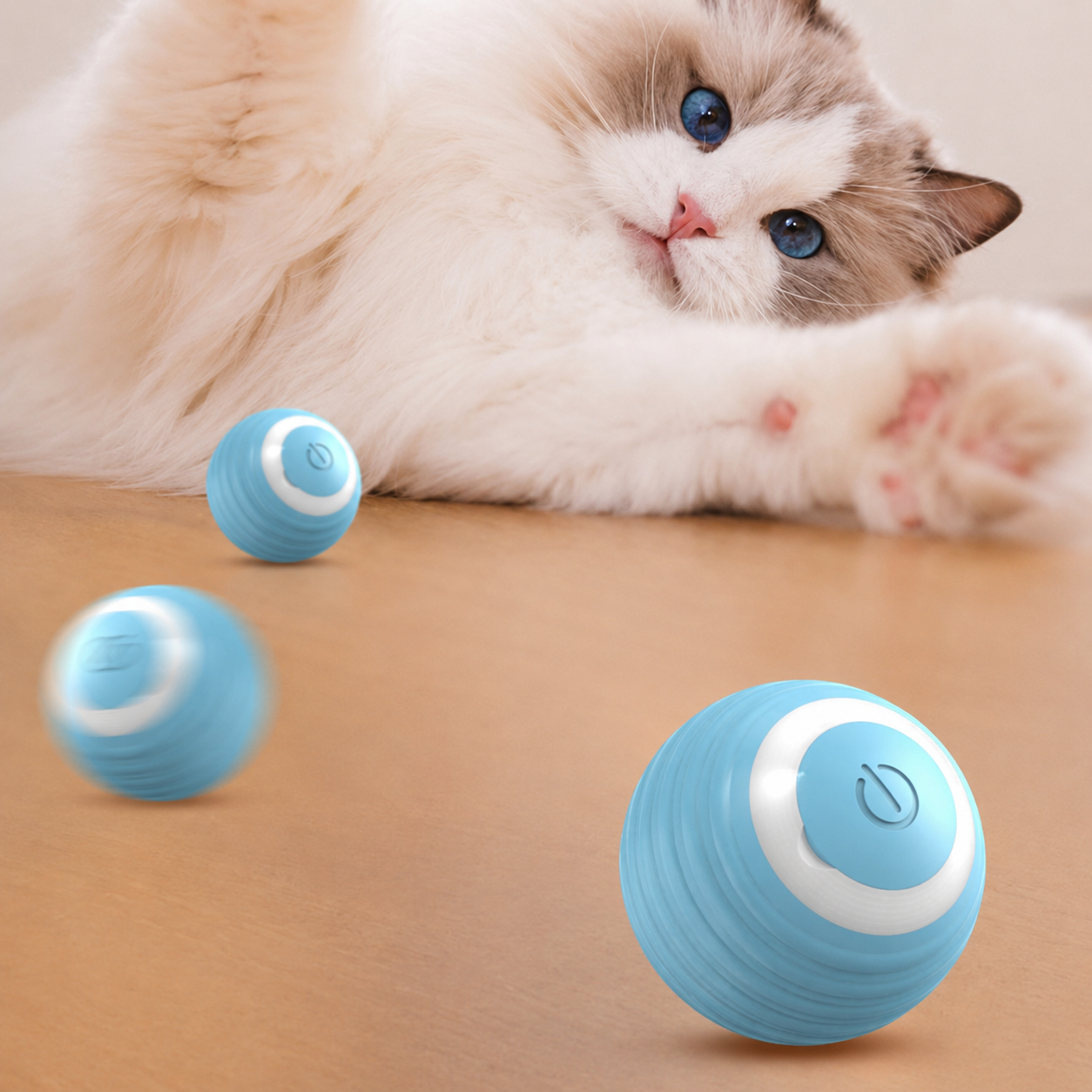 Ragdoll cat with multiple blue Gravity Roller balls