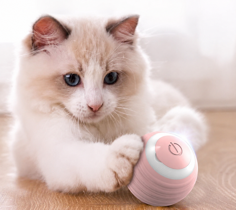 Cat playing with Gravity Roller ball