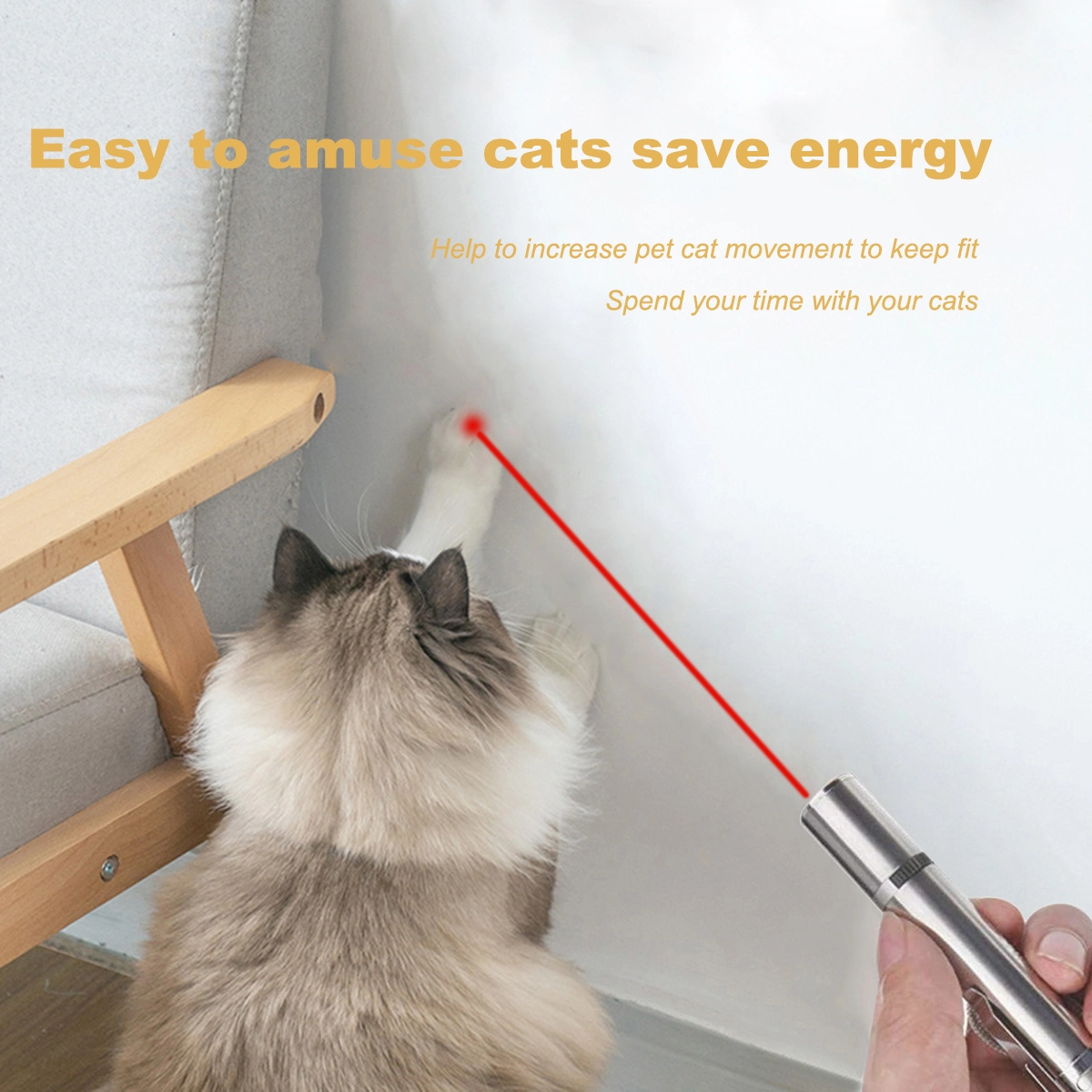 Interactive LED Cat Laser