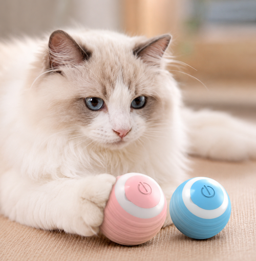 Gravity Roller Cat Toy
